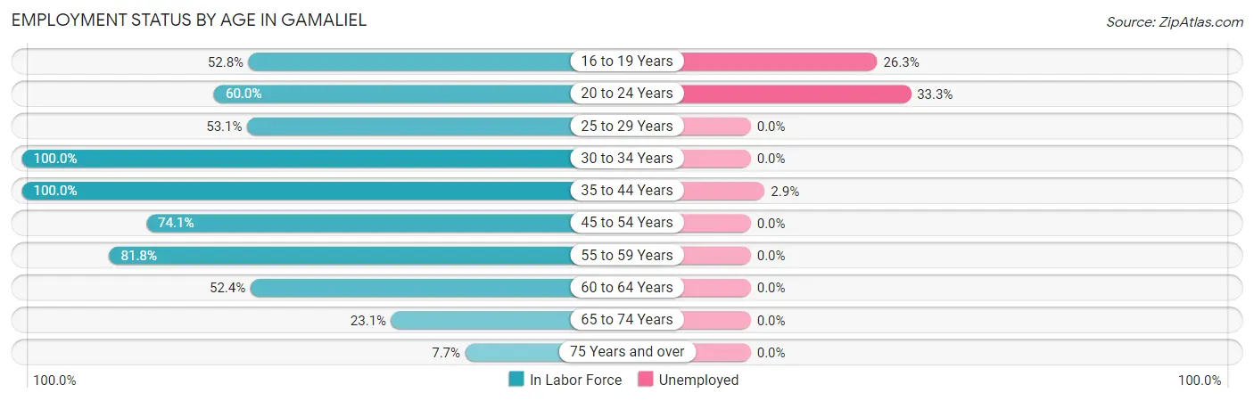Employment Status by Age in Gamaliel
