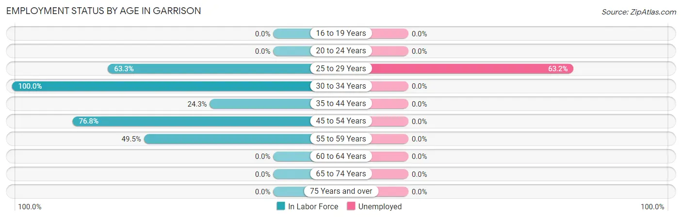 Employment Status by Age in Garrison