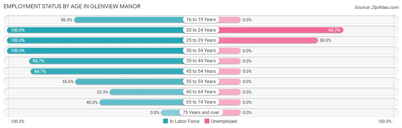 Employment Status by Age in Glenview Manor