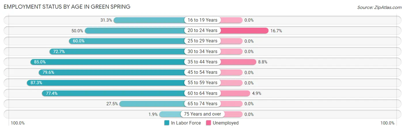 Employment Status by Age in Green Spring