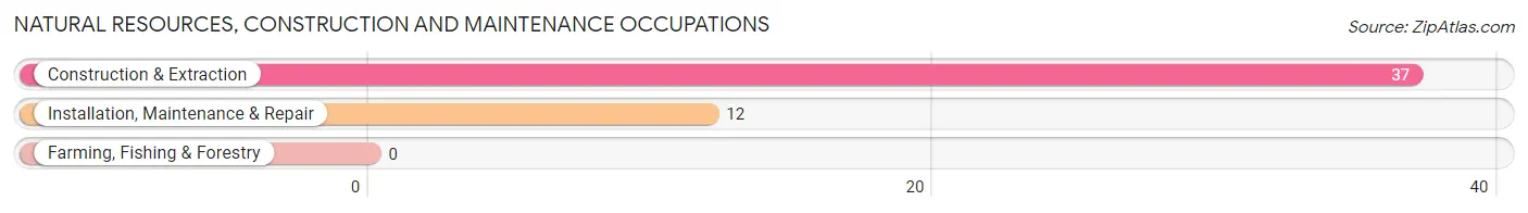 Natural Resources, Construction and Maintenance Occupations in Guthrie