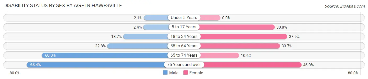 Disability Status by Sex by Age in Hawesville