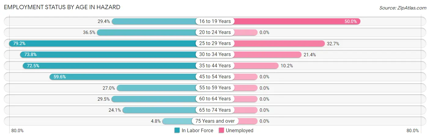 Employment Status by Age in Hazard