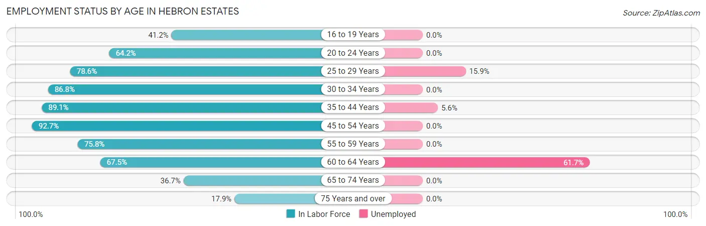 Employment Status by Age in Hebron Estates