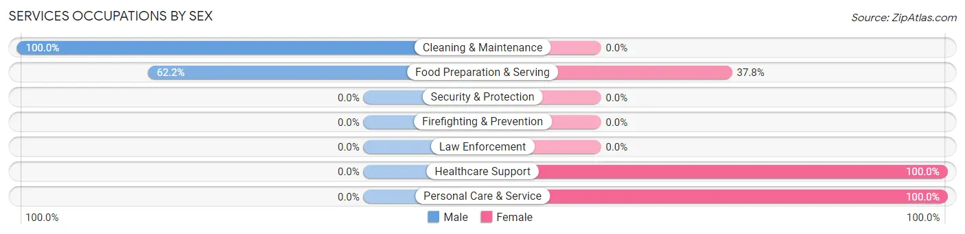 Services Occupations by Sex in Hebron Estates