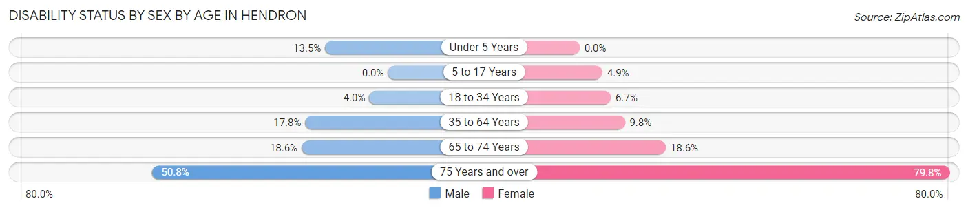 Disability Status by Sex by Age in Hendron