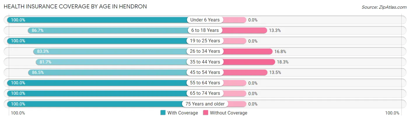 Health Insurance Coverage by Age in Hendron
