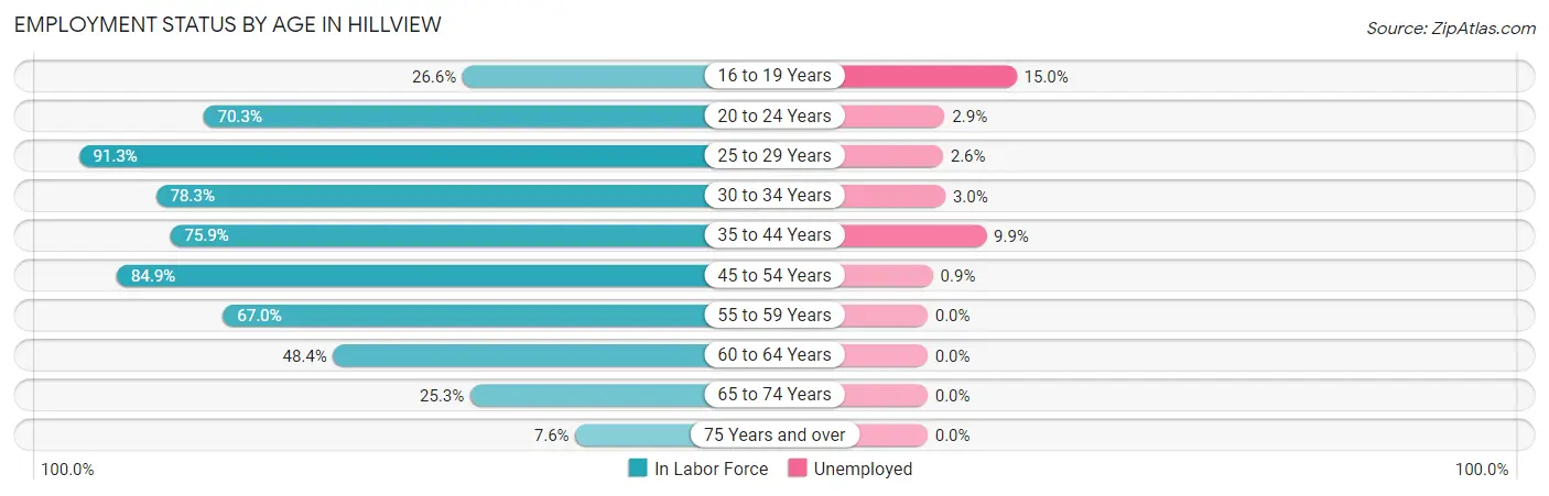 Employment Status by Age in Hillview