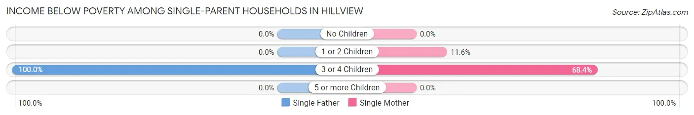 Income Below Poverty Among Single-Parent Households in Hillview