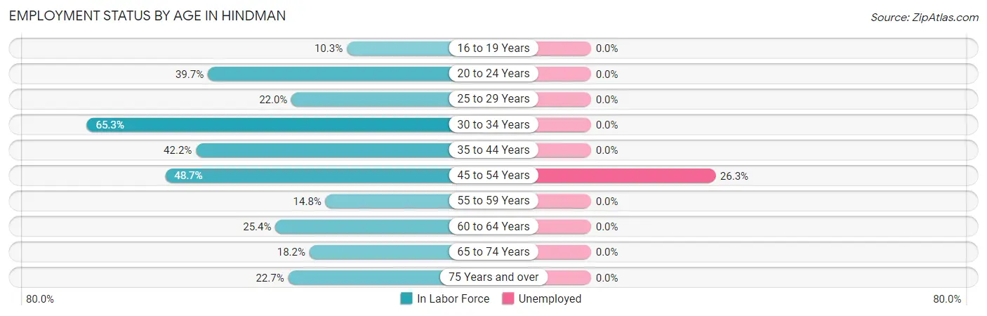 Employment Status by Age in Hindman