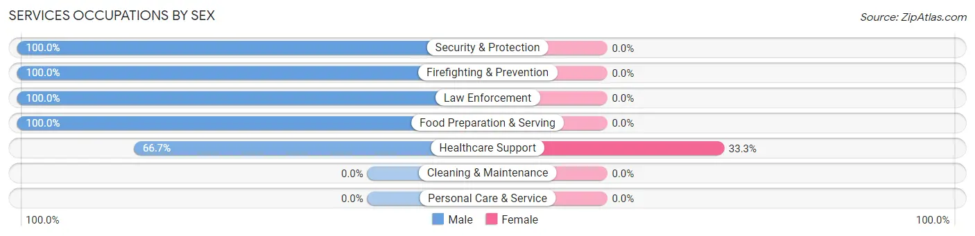 Services Occupations by Sex in Hindman