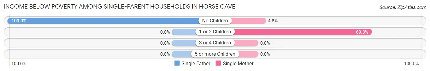 Income Below Poverty Among Single-Parent Households in Horse Cave