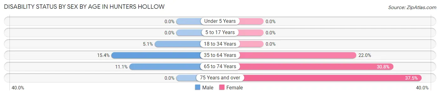 Disability Status by Sex by Age in Hunters Hollow