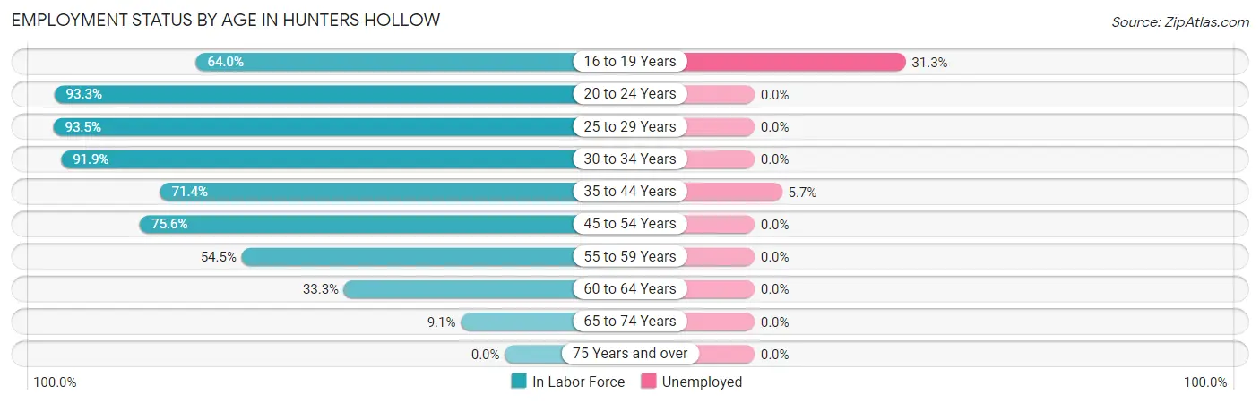 Employment Status by Age in Hunters Hollow