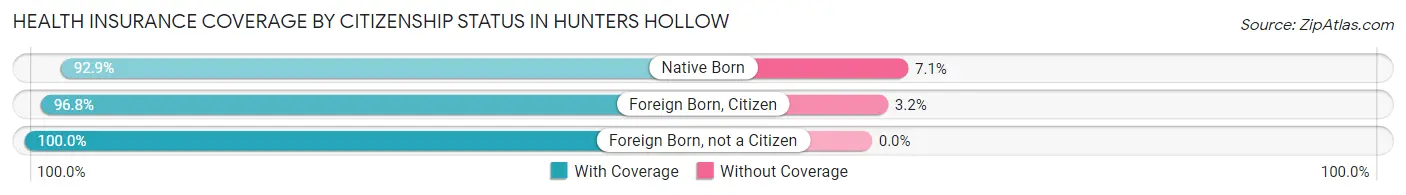 Health Insurance Coverage by Citizenship Status in Hunters Hollow