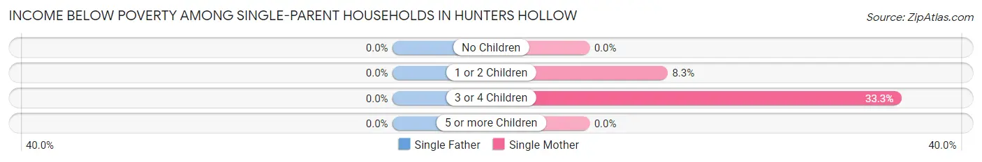 Income Below Poverty Among Single-Parent Households in Hunters Hollow
