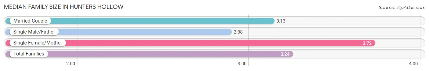 Median Family Size in Hunters Hollow