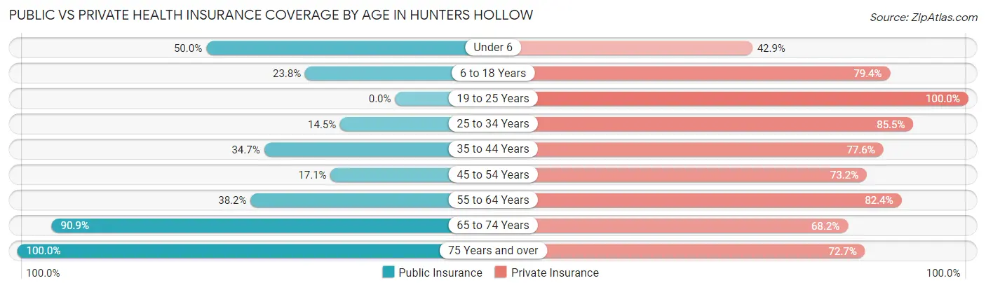 Public vs Private Health Insurance Coverage by Age in Hunters Hollow