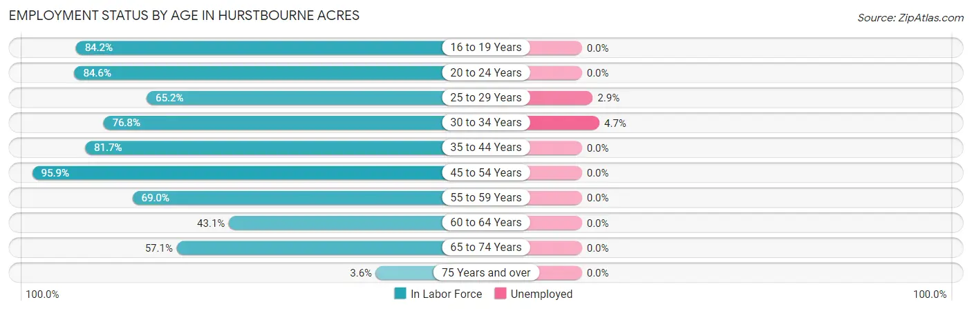 Employment Status by Age in Hurstbourne Acres