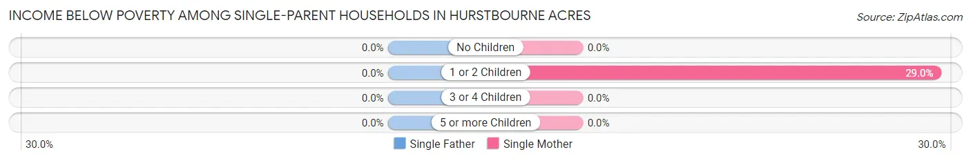 Income Below Poverty Among Single-Parent Households in Hurstbourne Acres