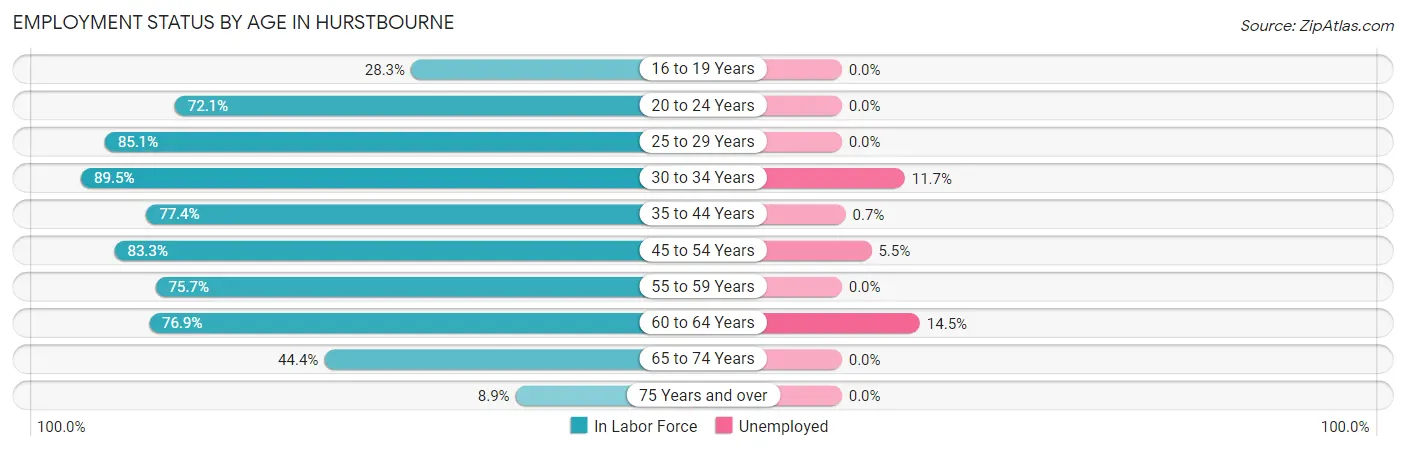Employment Status by Age in Hurstbourne