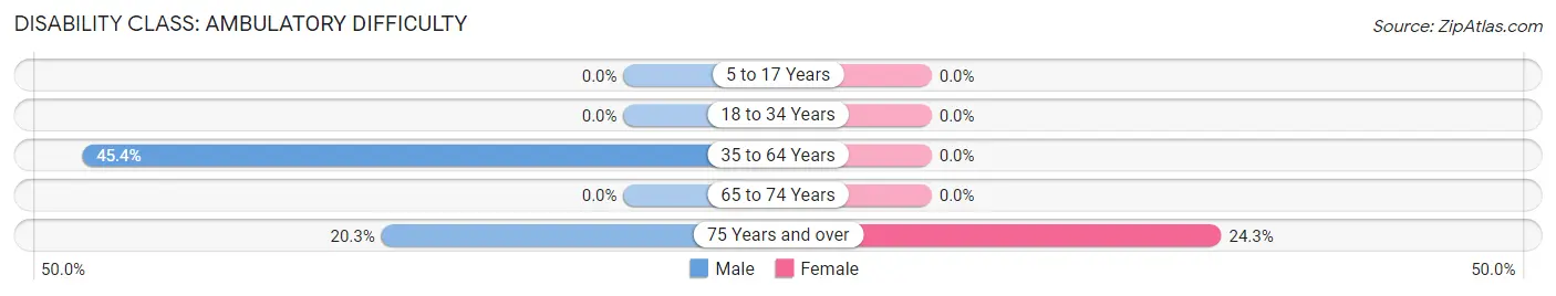 Disability in Ironville: <span>Ambulatory Difficulty</span>