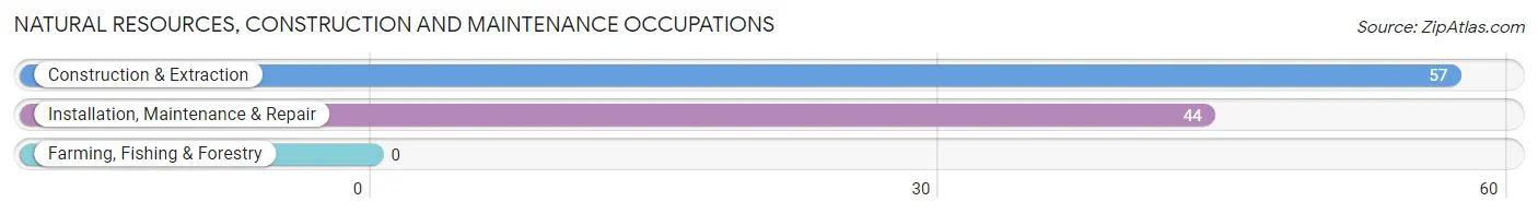 Natural Resources, Construction and Maintenance Occupations in Ironville