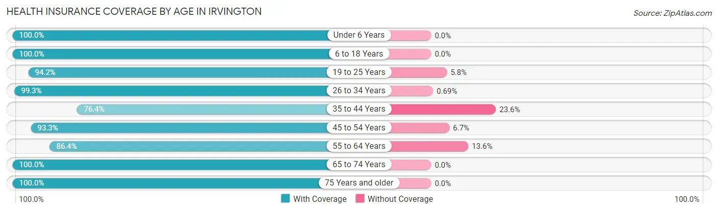 Health Insurance Coverage by Age in Irvington