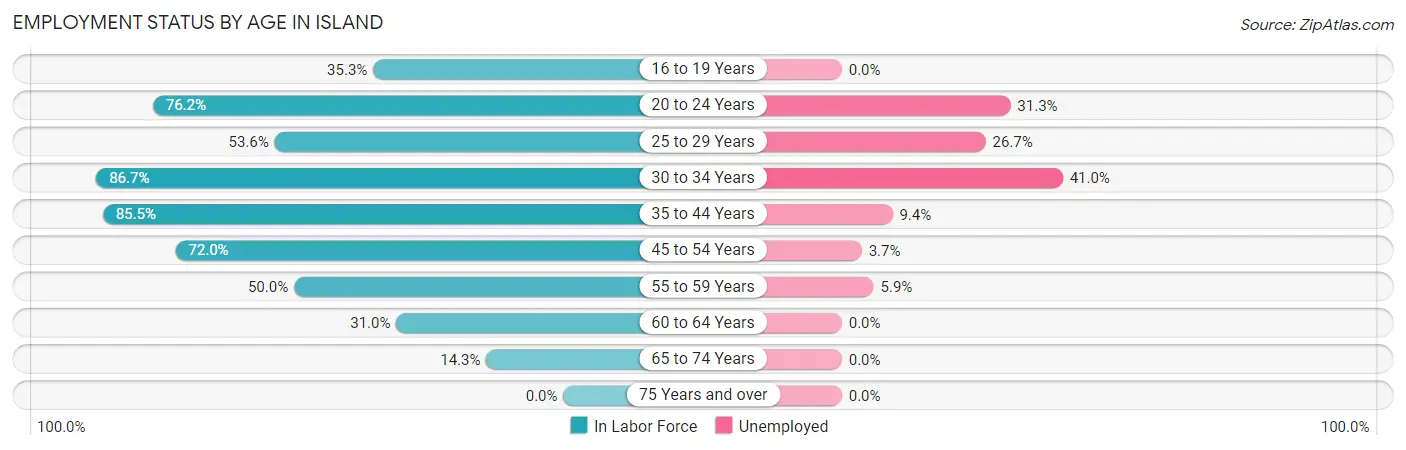 Employment Status by Age in Island