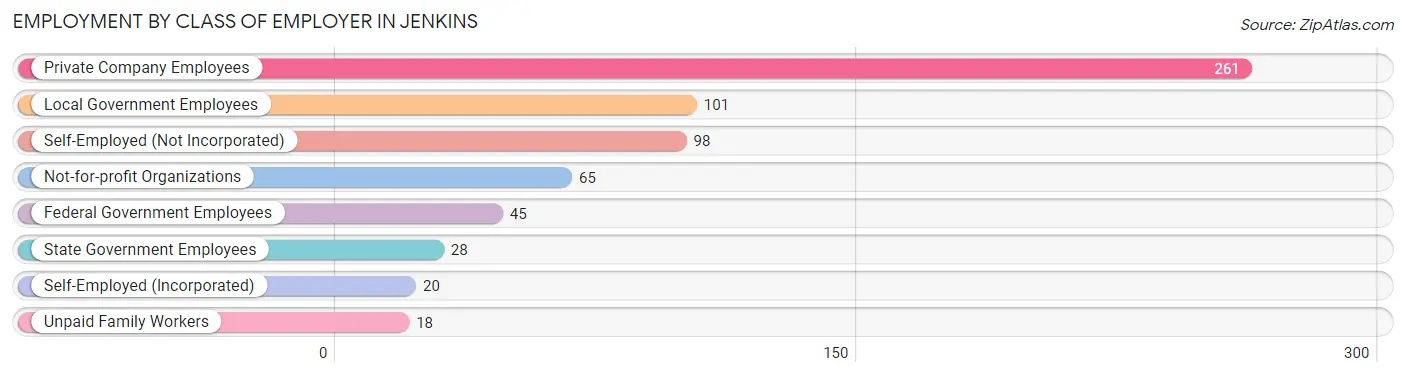 Employment by Class of Employer in Jenkins