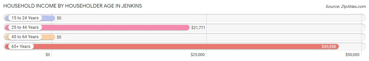 Household Income by Householder Age in Jenkins
