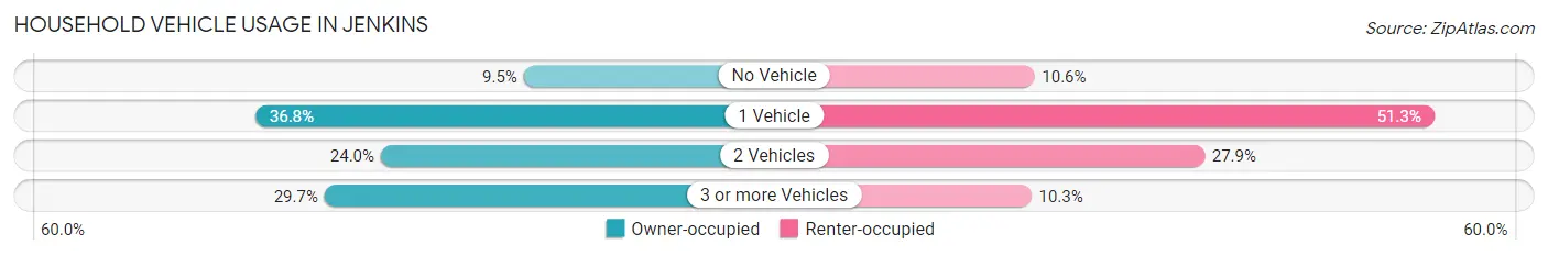 Household Vehicle Usage in Jenkins