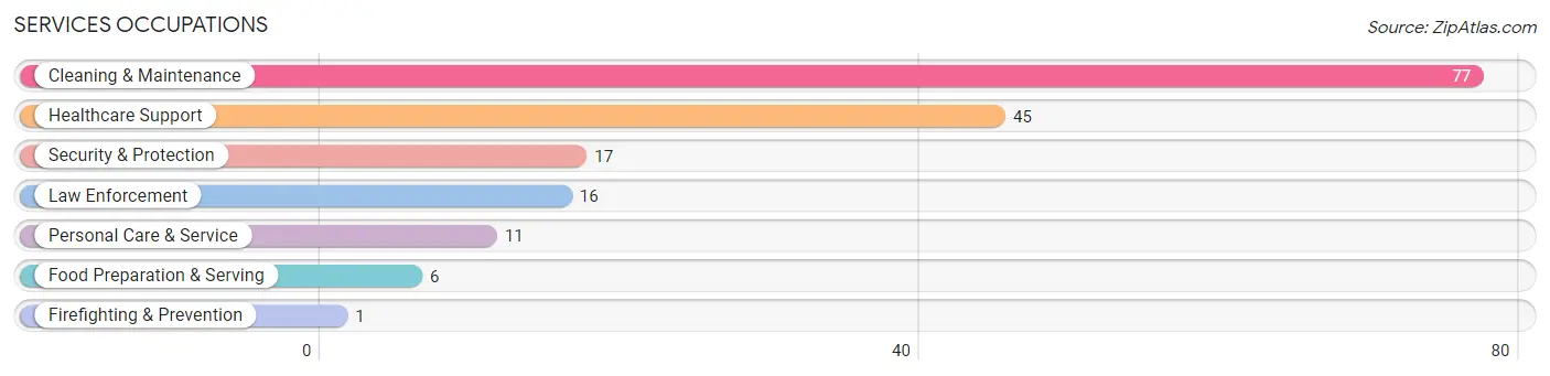Services Occupations in Jenkins