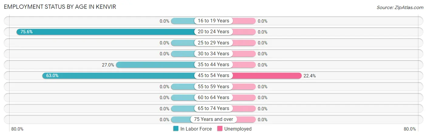 Employment Status by Age in Kenvir
