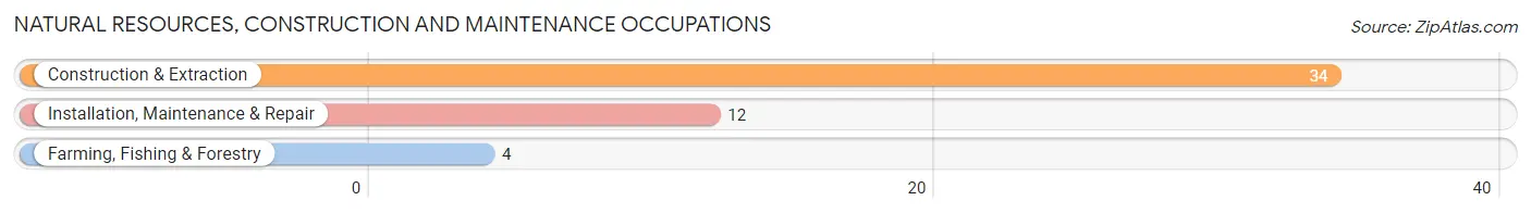Natural Resources, Construction and Maintenance Occupations in La Center