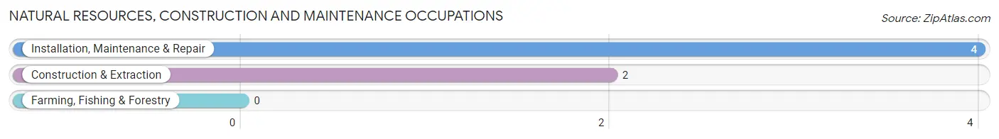 Natural Resources, Construction and Maintenance Occupations in Lakeview Heights