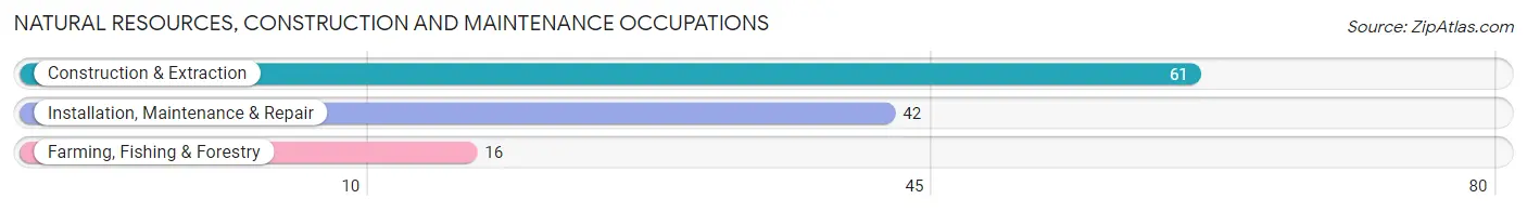 Natural Resources, Construction and Maintenance Occupations in Lebanon Junction