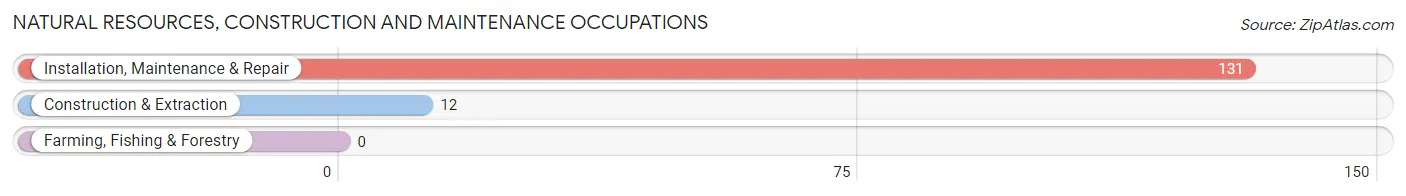 Natural Resources, Construction and Maintenance Occupations in Lebanon