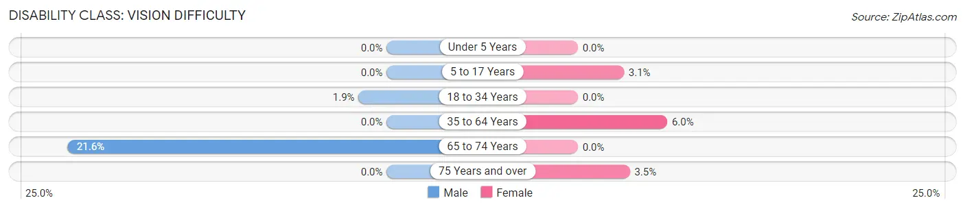 Disability in Lebanon: <span>Vision Difficulty</span>