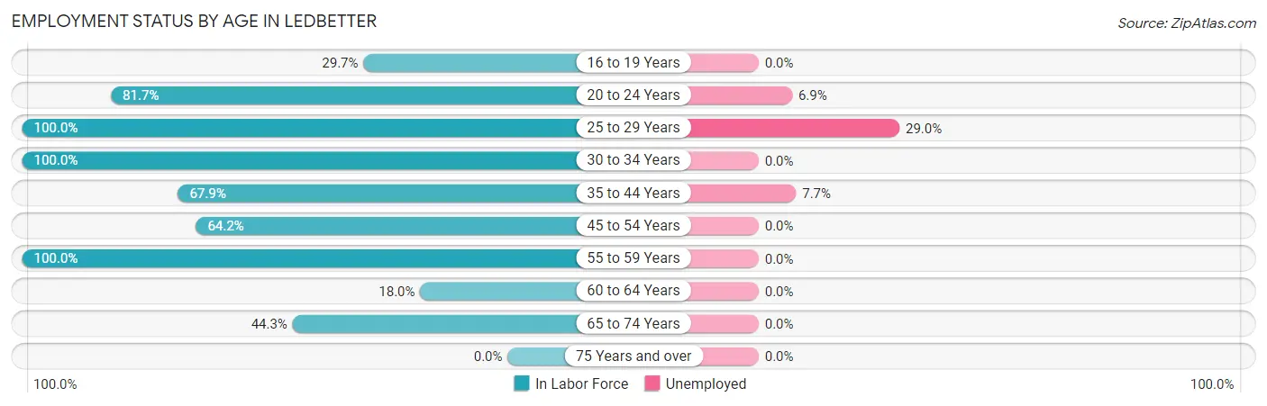 Employment Status by Age in Ledbetter
