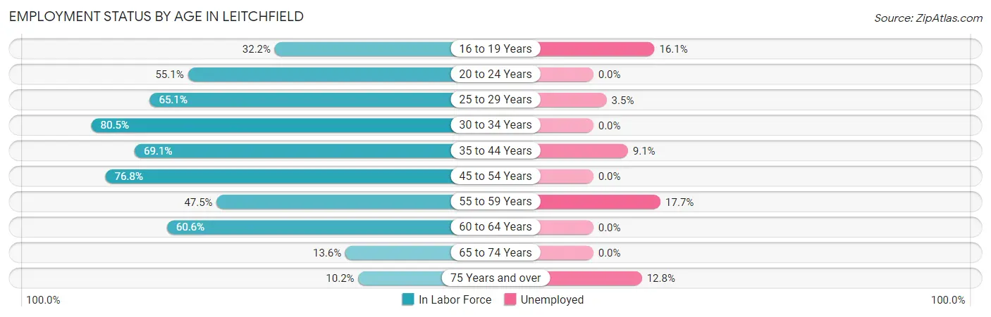 Employment Status by Age in Leitchfield