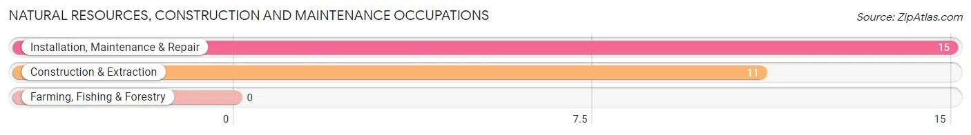 Natural Resources, Construction and Maintenance Occupations in Lewisburg