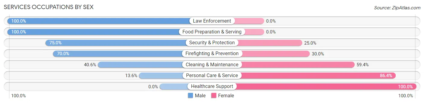 Services Occupations by Sex in Lewisport