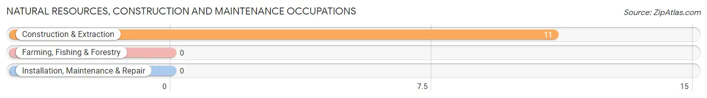 Natural Resources, Construction and Maintenance Occupations in Loyall