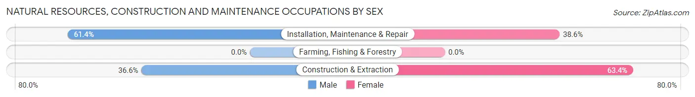Natural Resources, Construction and Maintenance Occupations by Sex in Ludlow