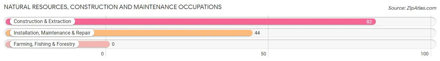 Natural Resources, Construction and Maintenance Occupations in Ludlow