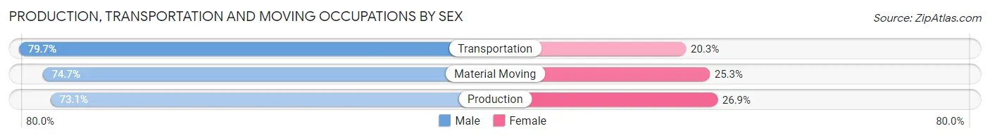 Production, Transportation and Moving Occupations by Sex in Madisonville