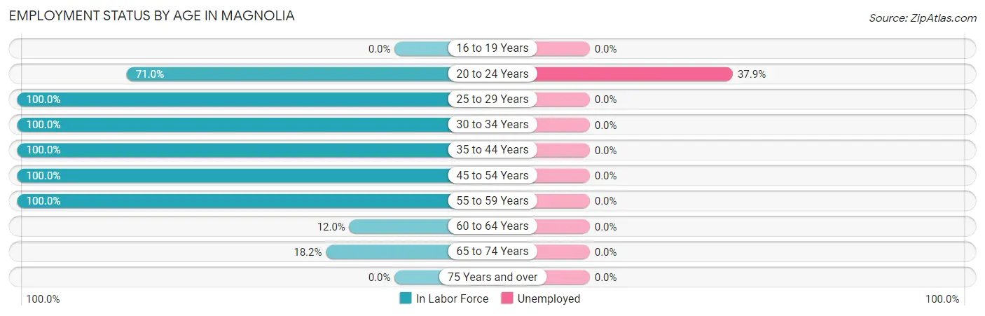 Employment Status by Age in Magnolia