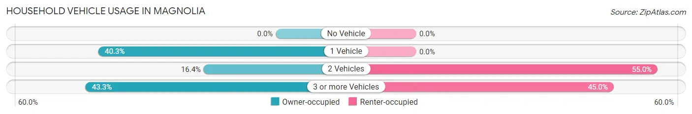 Household Vehicle Usage in Magnolia