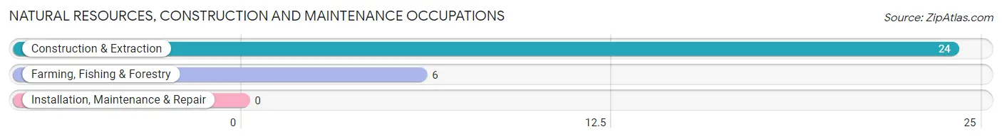 Natural Resources, Construction and Maintenance Occupations in Magnolia